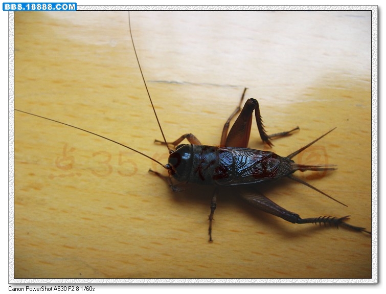照片 012_nEO_IMG.jpg