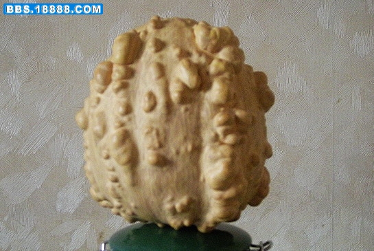 DSCN1048.jpg