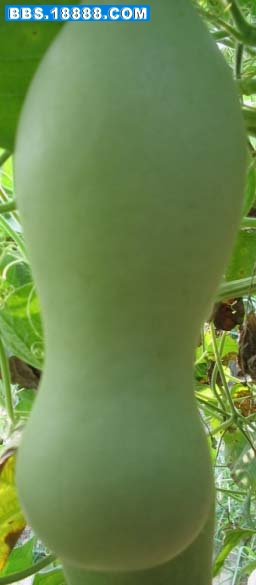 102 拷贝.jpg