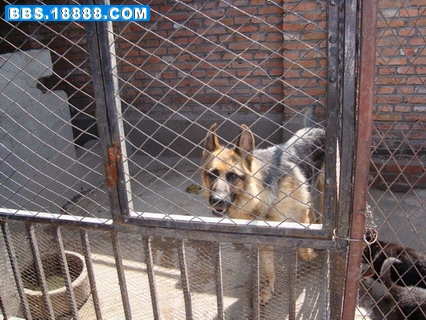DSC01222_调整大小_调整大小.JPG