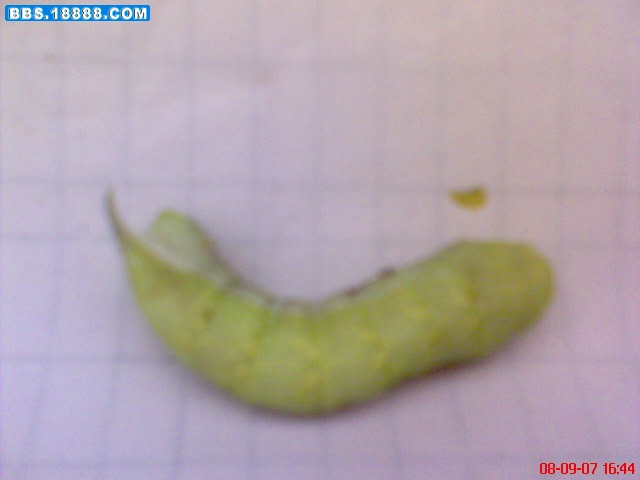 DSC00038.JPG