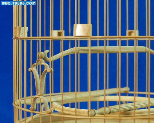 照片 141.jpg