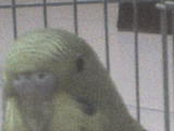 DSC00205.JPG