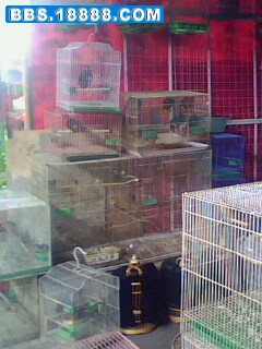 IMG0667A.jpg