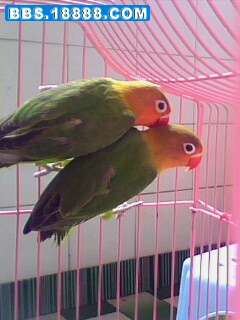 IMG0673A.jpg