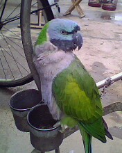 IMG0156A.jpg