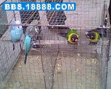 IMG0153A.jpg