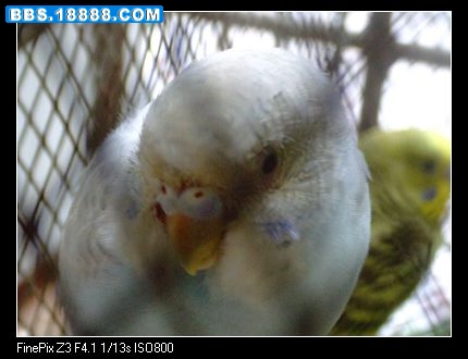 nEO_IMG_照片 191.jpg