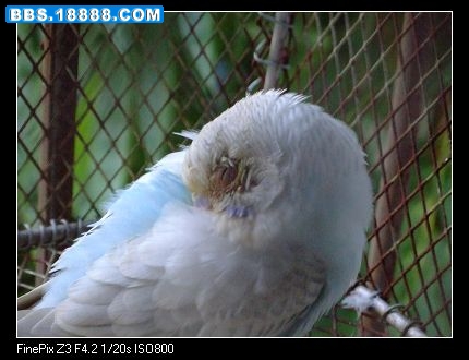 nEO_IMG_照片 207.jpg