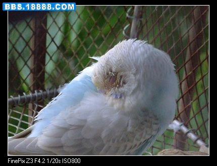 nEO_IMG_照片 206.jpg