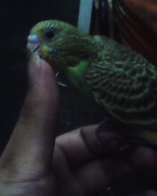 0927212713.JPG
