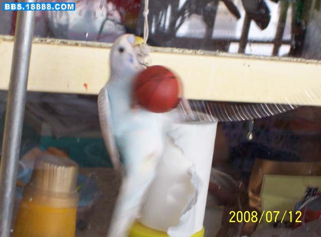 100_5816g.jpg