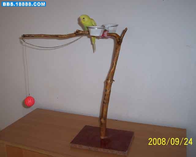100_6078g.jpg