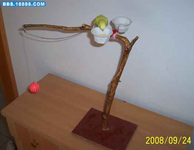 100_6079g.jpg