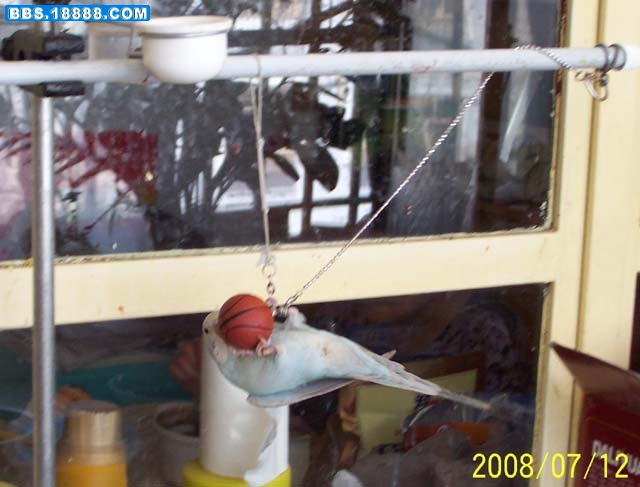100_5797g.jpg