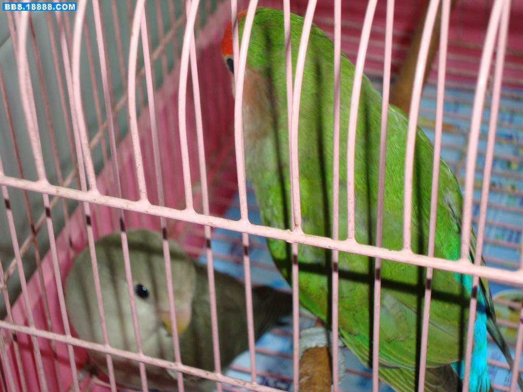 DSC00307.JPG