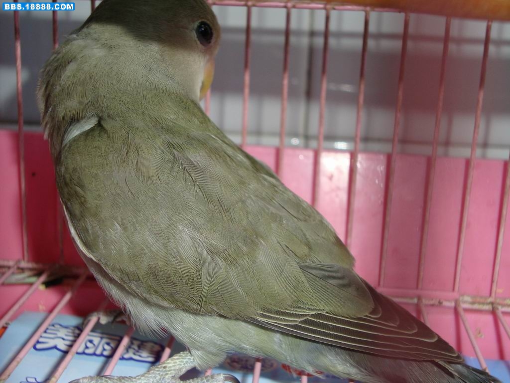 DSC00317.JPG
