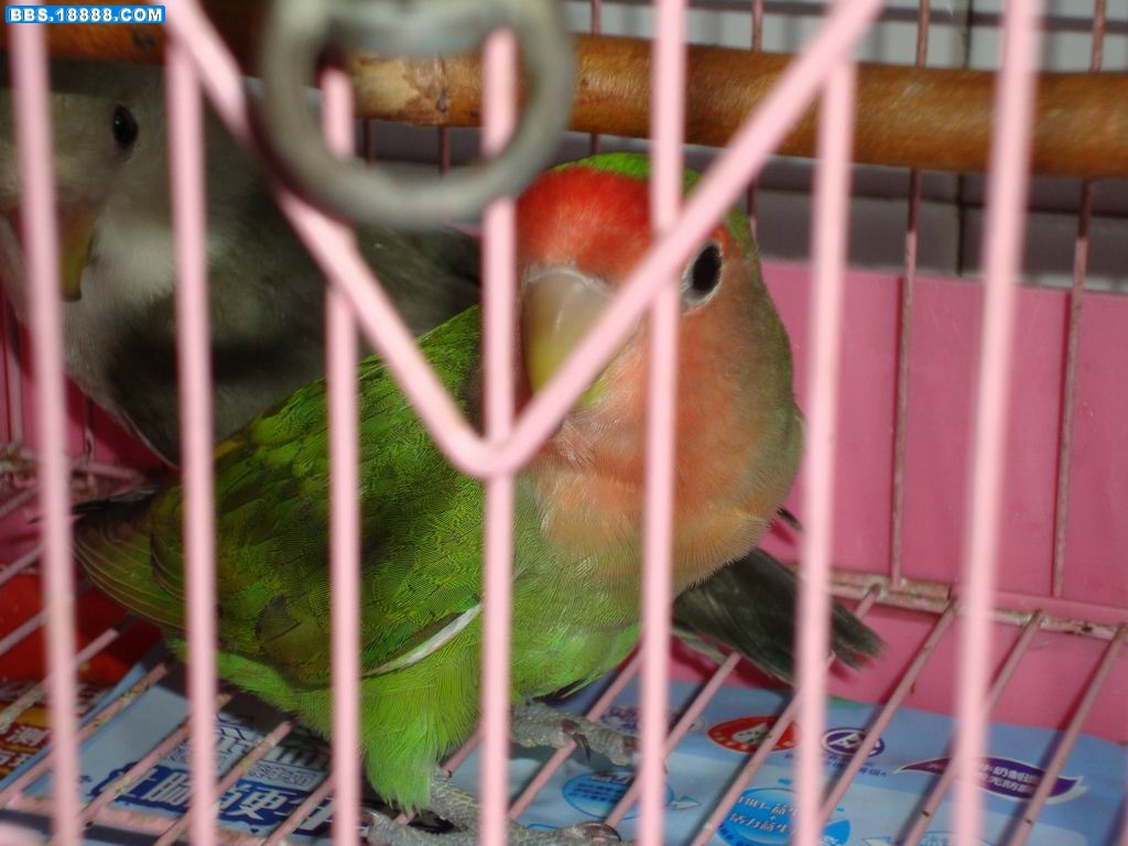DSC00301.JPG