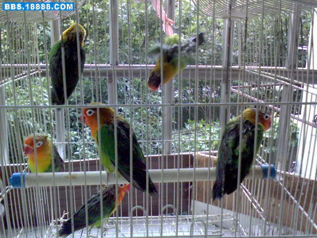 DSC00018.JPG
