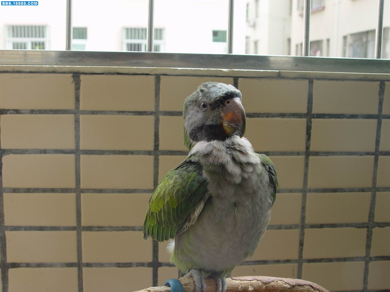 调整大小 DSC00980.JPG