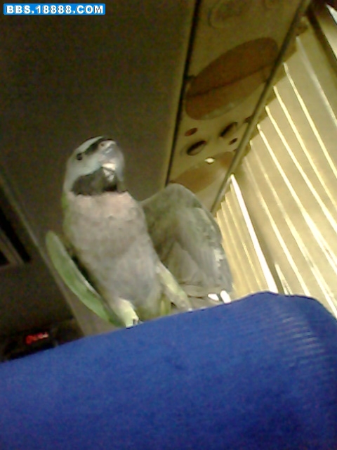 IMG0376A.jpg
