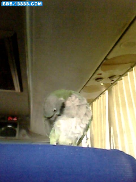 IMG0366A.jpg