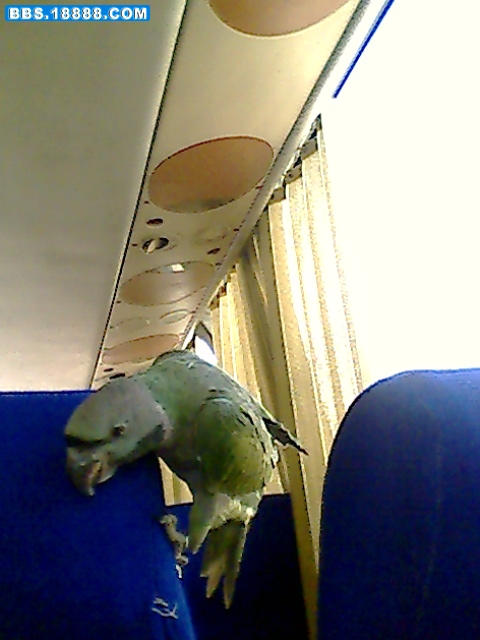 IMG0356A.jpg
