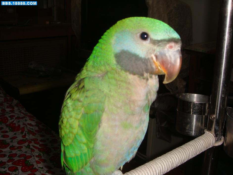 DSC00779.JPG