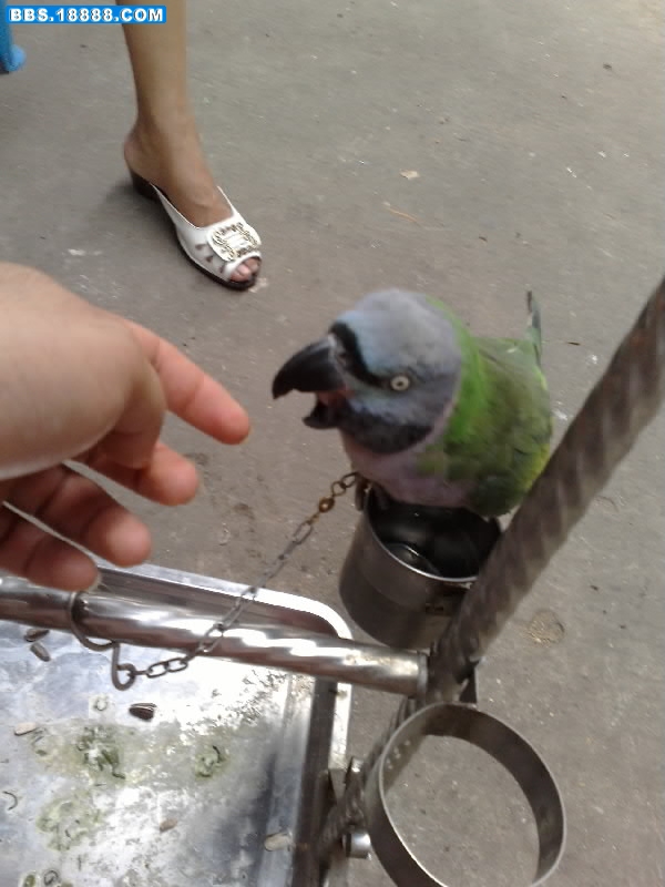 20080921074-001.jpg