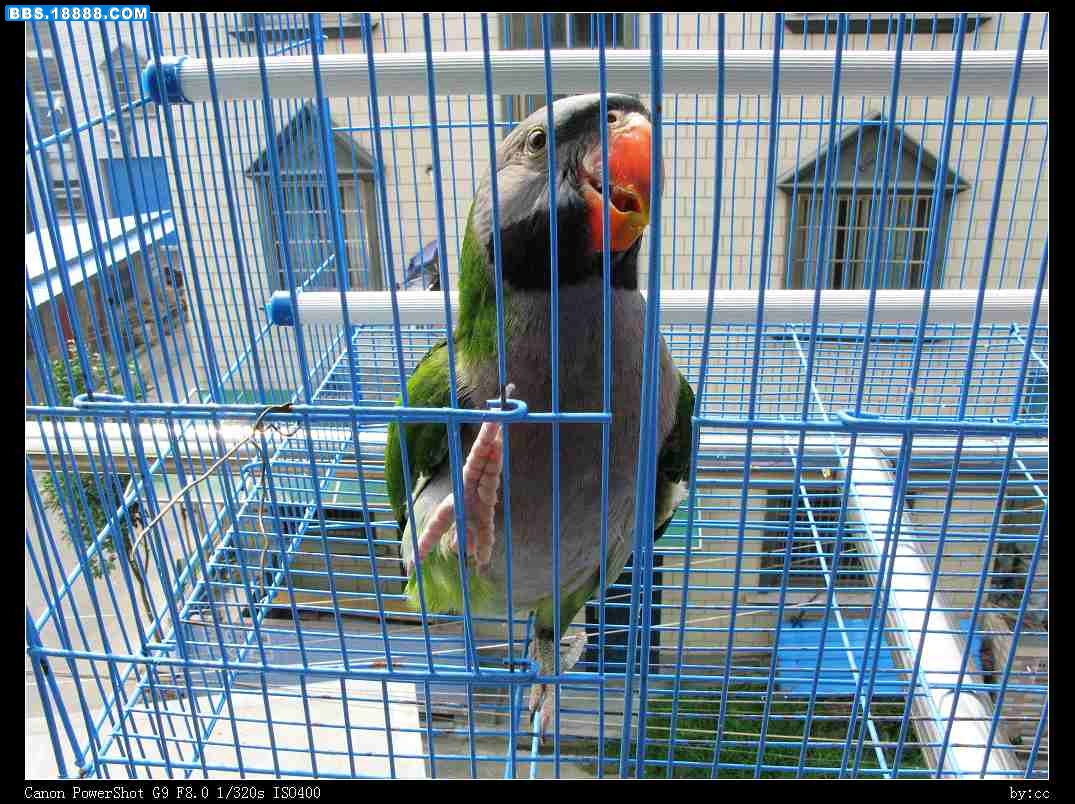 nEO_IMG_IMG_0992.jpg