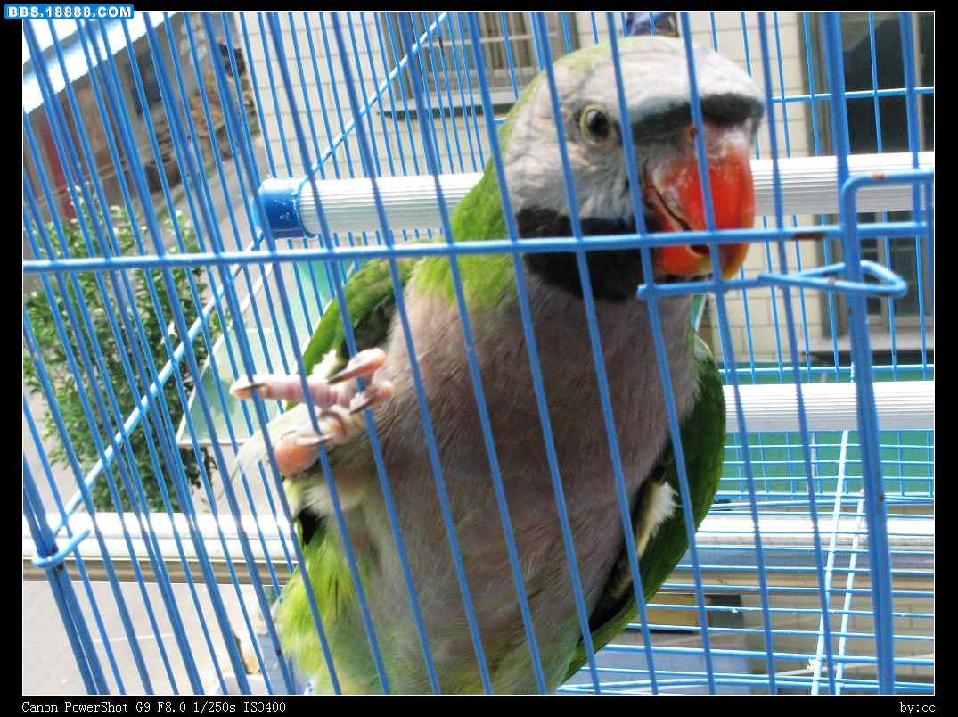 nEO_IMG_IMG_1003.jpg