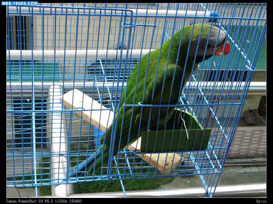 nEO_IMG_IMG_1001.jpg