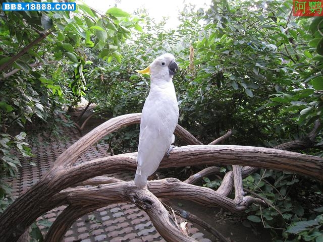 IMG_3101_nEO_IMG.jpg