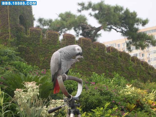 DSCN0011.JPG
