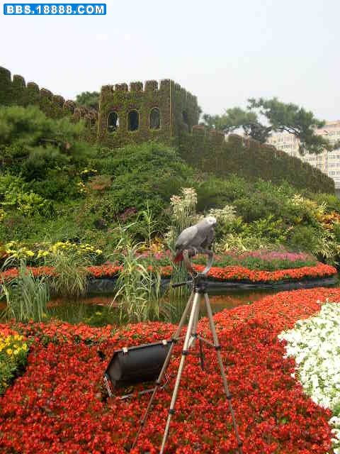DSCN0002.JPG