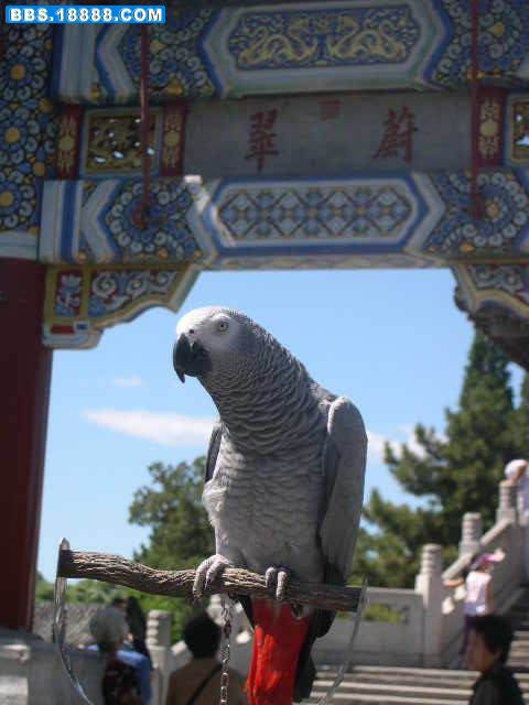 DSCN0065.JPG