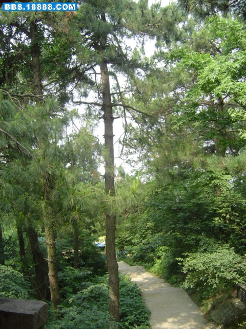 2007_05_29_1632156.jpg