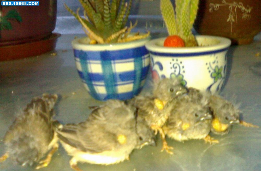 17052007475.jpg