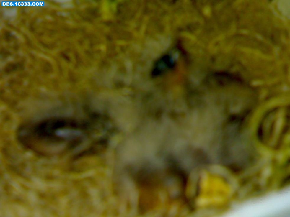 03052007386.jpg