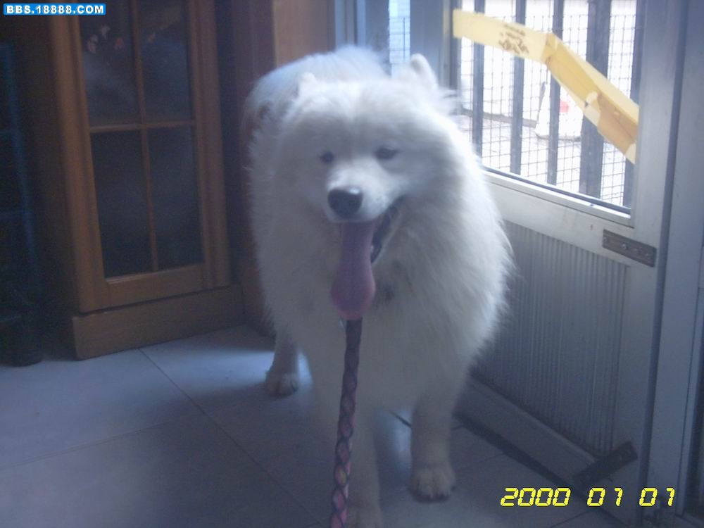 照片 002.jpg
