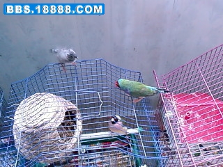 SP_A0005.jpg