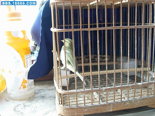 DSCN7877.JPG