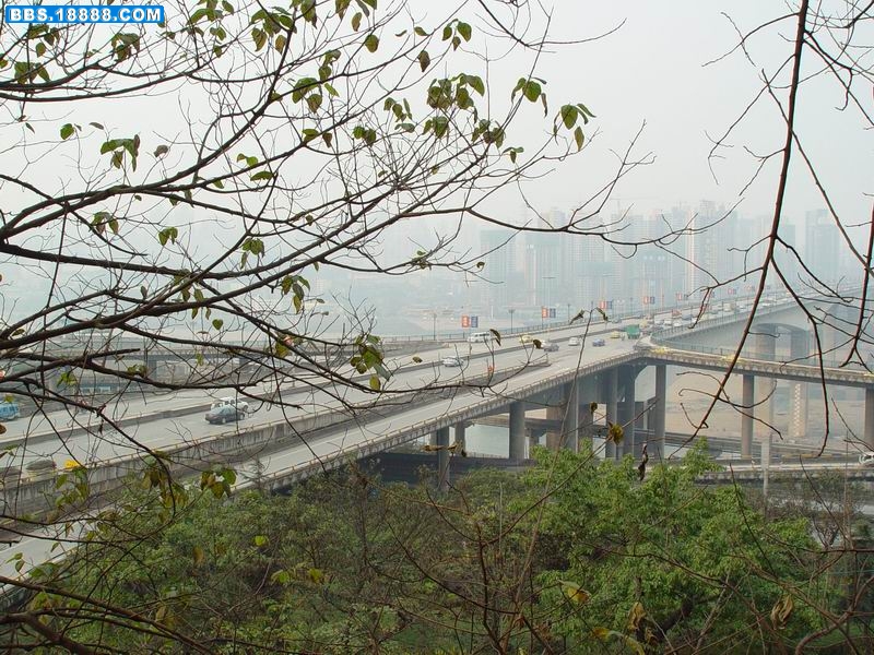 调整大小 DSC03756.JPG