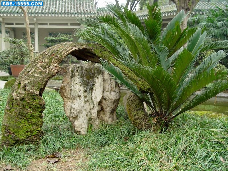 调整大小 DSC04198.JPG