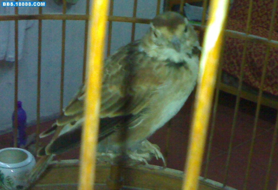 20080910639-001.jpg