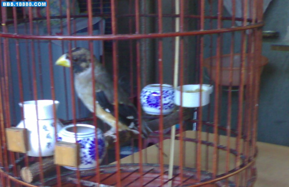20080912668-001.jpg