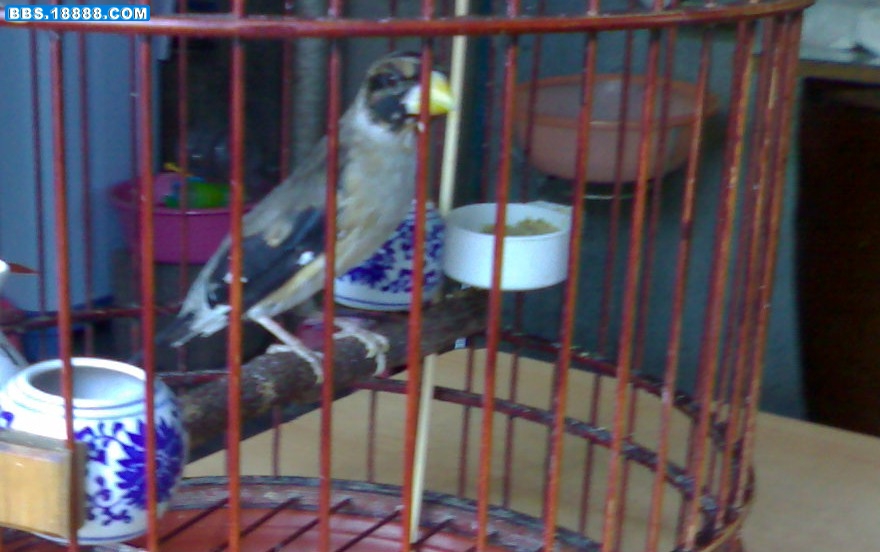 20080912674-002.jpg