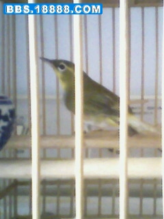 IMG0076A.jpg