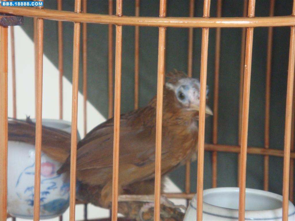 DSC00714 (大).JPG