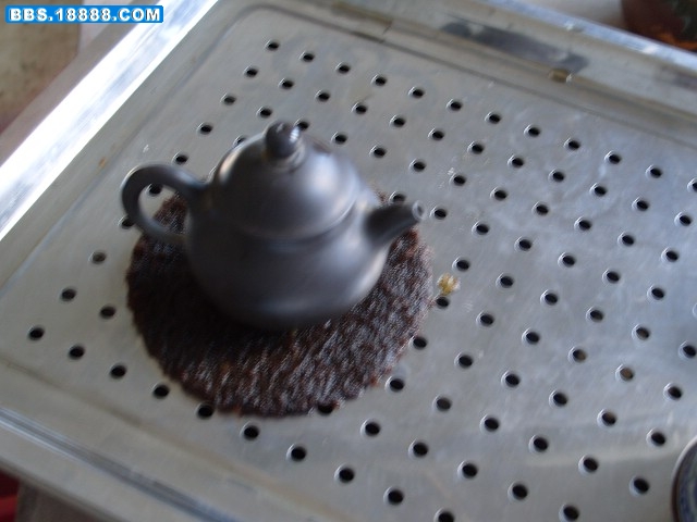 S1051064.JPG